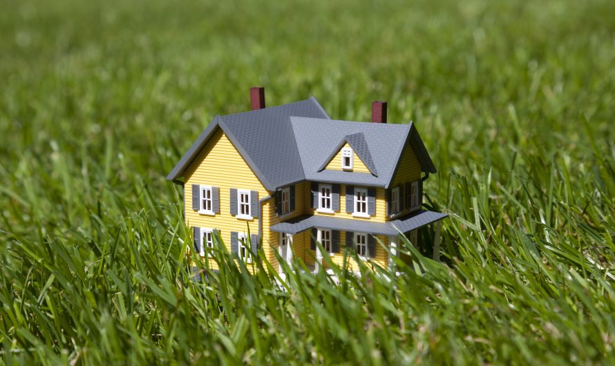 Rénovation écologique : Matériaux durables pour votre maison